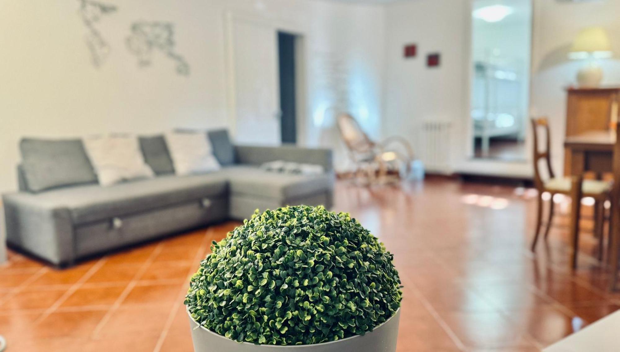 Seiundici Mondello Home المظهر الخارجي الصورة